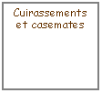 Zone de Texte: Cuirassements et casemates