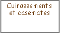 Zone de Texte: Cuirassements et casemates